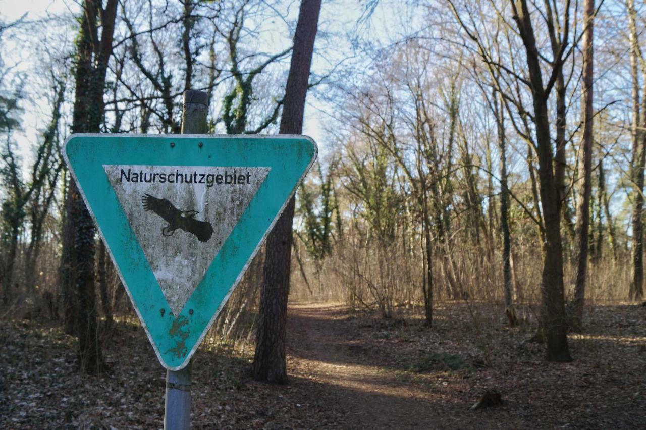 "Gemuetlich" 1-Zimmer Apartment Nah Am Wald ไมนซ์ ภายนอก รูปภาพ