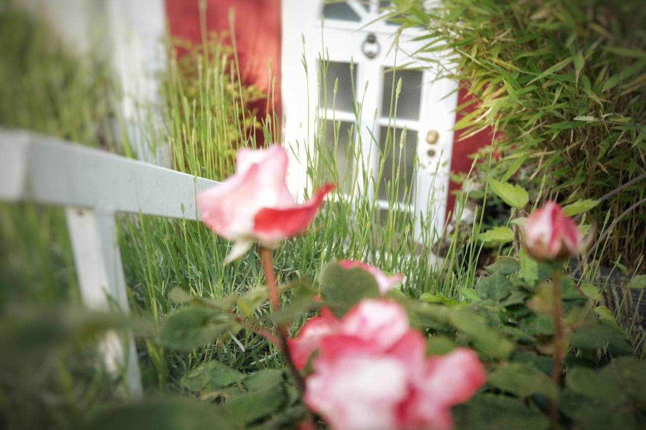 "Gemuetlich" 1-Zimmer Apartment Nah Am Wald ไมนซ์ ภายนอก รูปภาพ